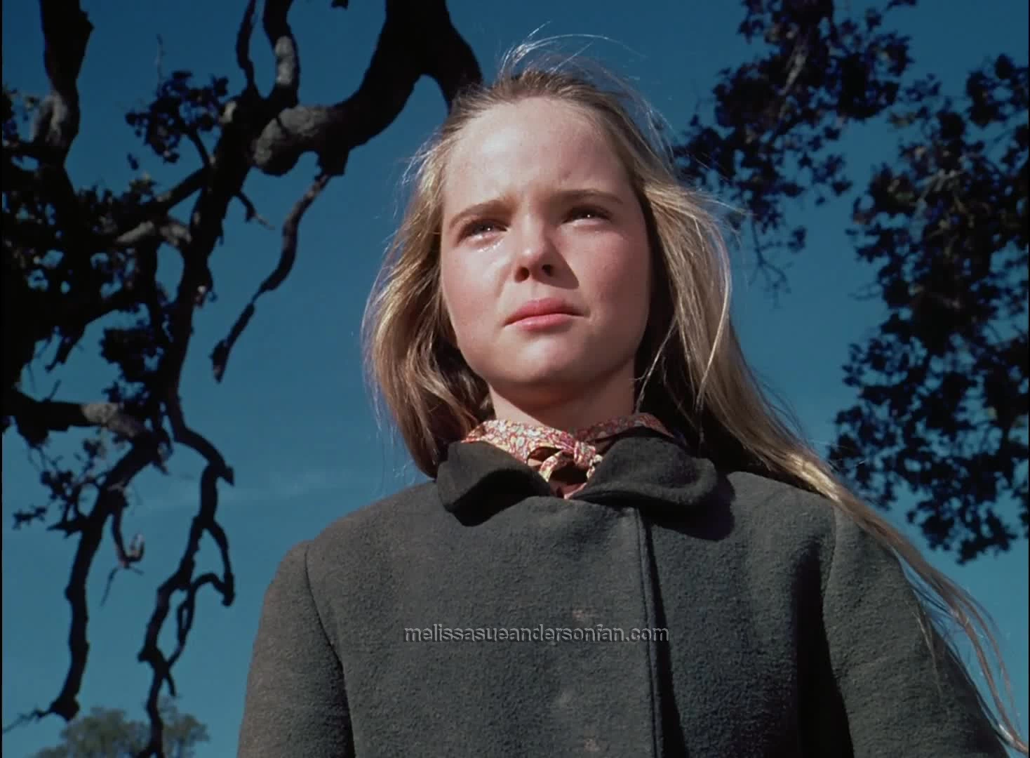 Melissa Sue Anderson in The Award